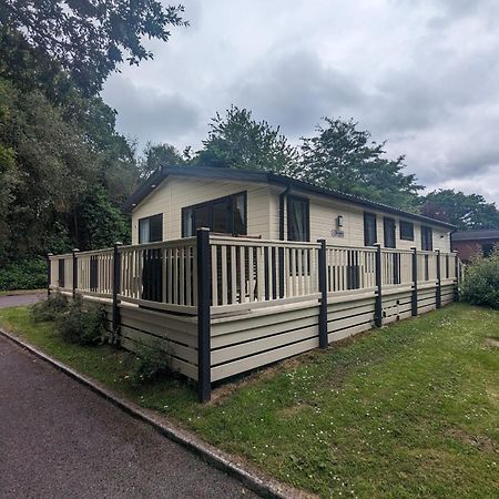 מילפורד און סי Luxury Stunning Sensation Lodge On 5 Star Shorefield Country Park New Forest Entertainment And Leisure Passes Included מראה חיצוני תמונה